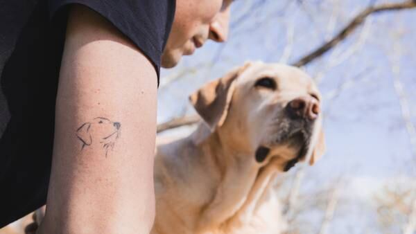 Got a tattoo you hate? PetSmart contest gives you a shot at replacing it