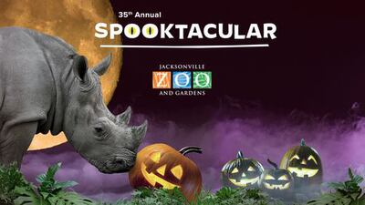 All Things BOO with Easy102.9 and Jacksonville Zoo & Garden’s Spooktacular!